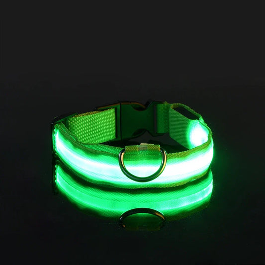 LED Night Safety Dog Leash â€“ Nylon Glow-in-the-Dark Walking Lead for Dogs